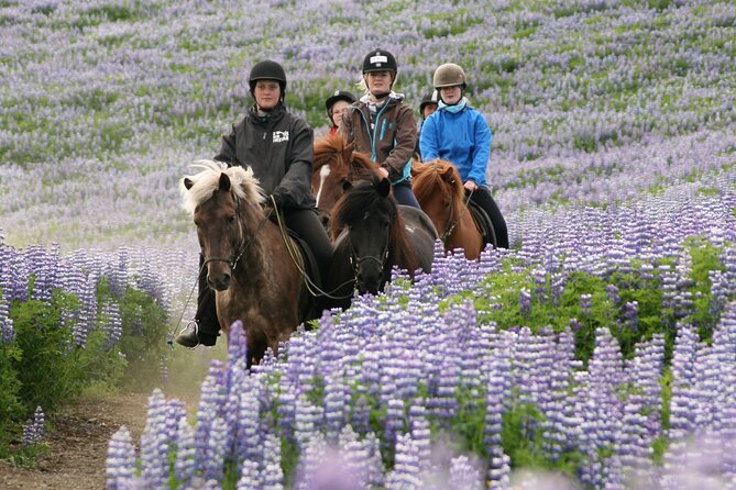 Horseback Riding Tour in Iceland - Scenic Landscapes