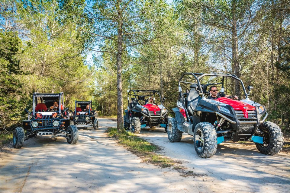 Ibiza: Buggy Sightseeing Excursion - Exclusions and Limitations