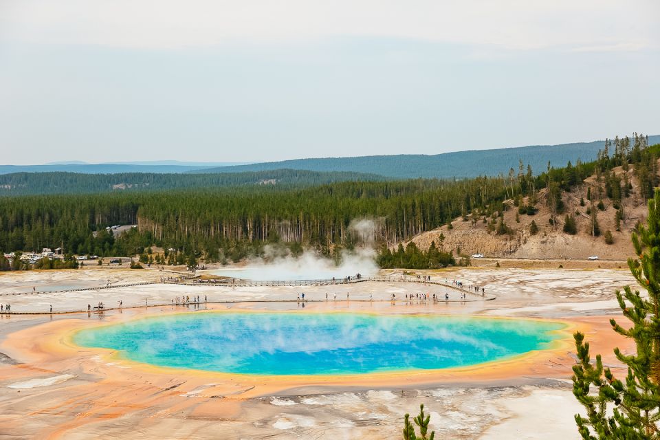 Jackson: 2-Day Yellowstone National Park Tour With Lunches - Inclusions