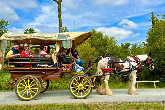 Jaunting Car Tour in Killarney National Park - Minimum Travelers Required