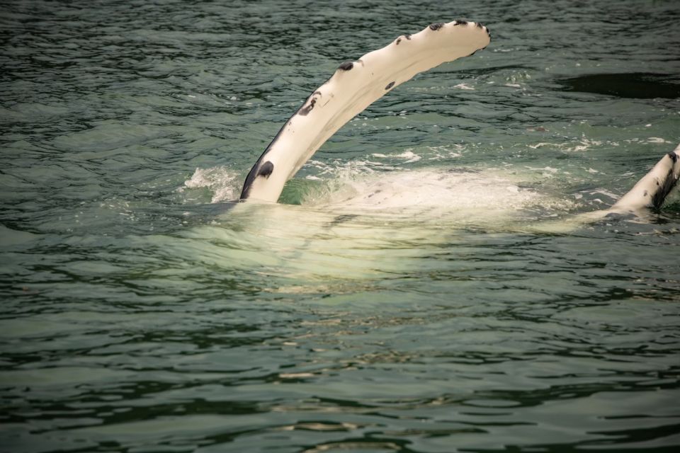 Juneau: Mendenhall Glacier Waterfall & Whale Watching Tour - Hike to Nugget Falls