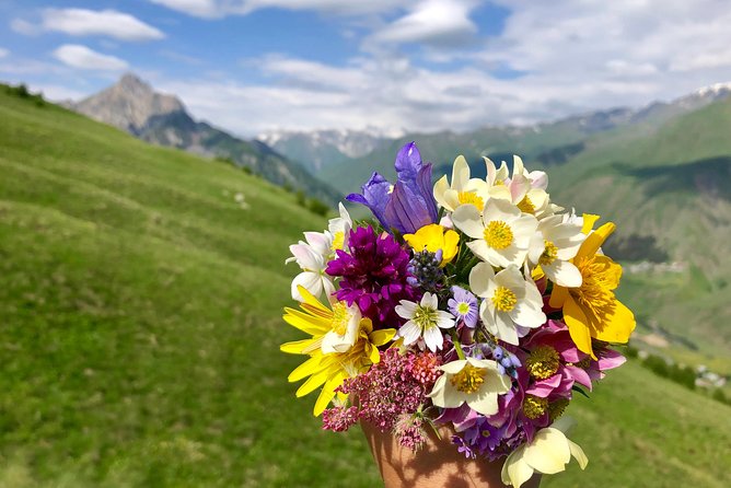 Kazbegi Tour From Tbilisi 2022 - Reviews and Feedback