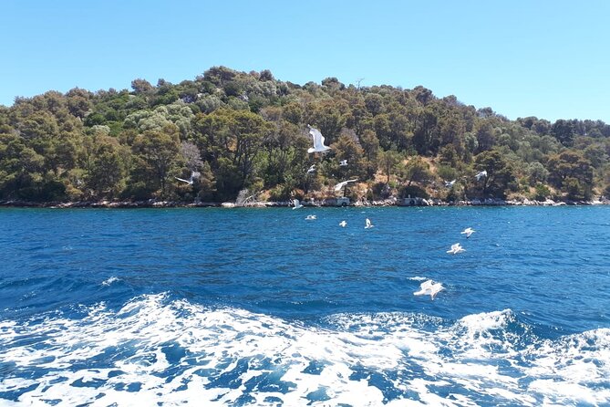 Kornati & Telascica Summer Boat Tour, Free Mask and Snorkel - Confirmation and Accessibility