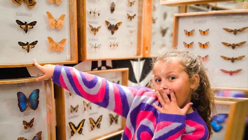 Krakow: Living Butterfly Museum - Booking and Reservations