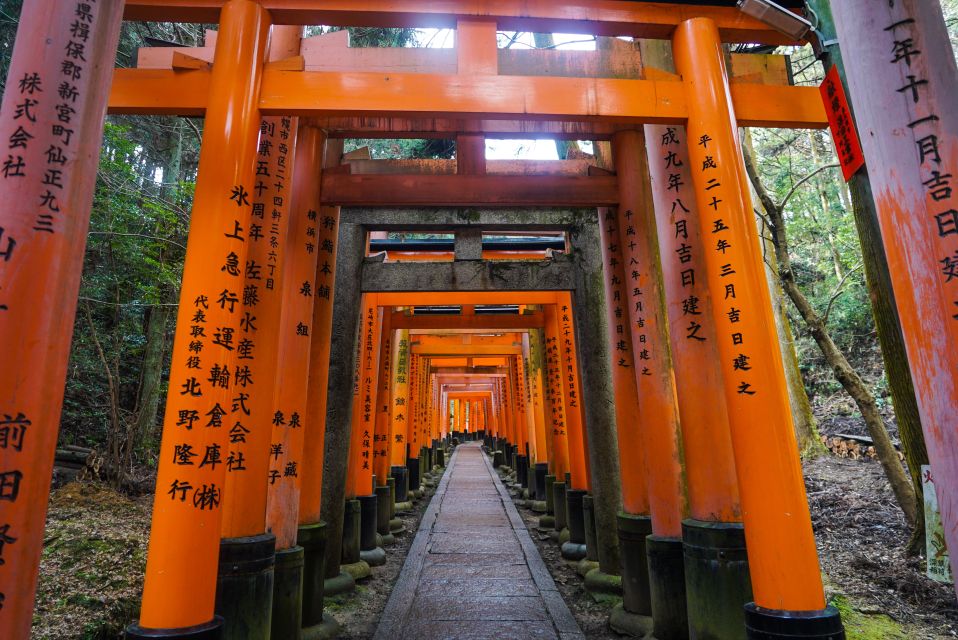 Kyoto: 3-Hour Fushimi Inari Shrine Hidden Hiking Tour - Participant Guidelines