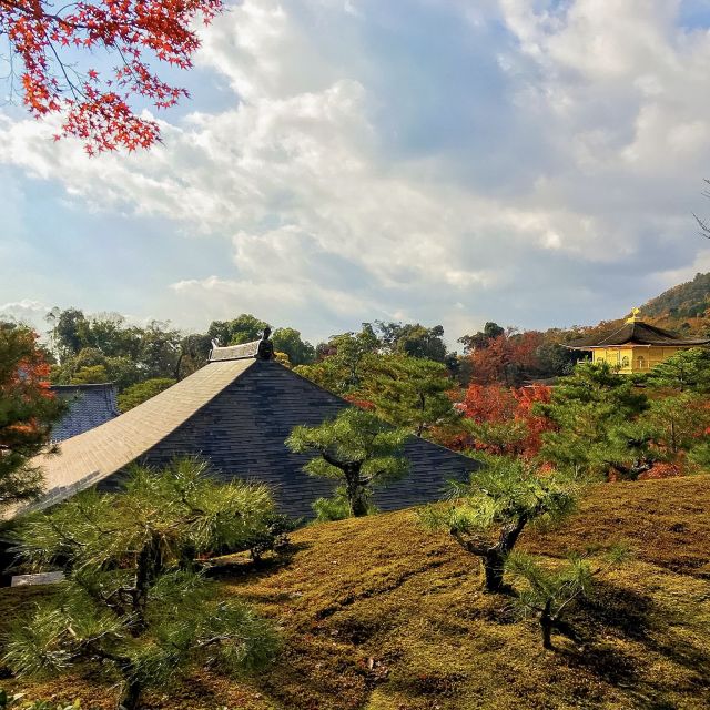 Kyoto: City Secrets Ebike Tour - Customer Feedback