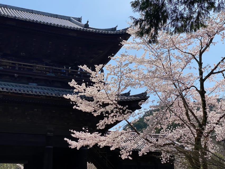 Kyoto Garden Tour and Mini Garden Review - Included Services