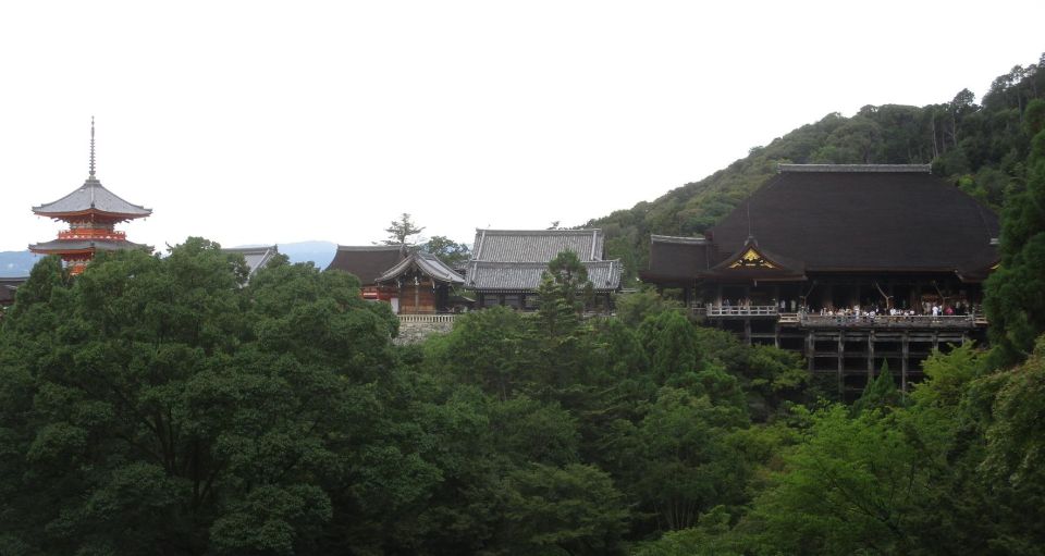 Kyoto-Nara: Giant Buddha, Deer Pagoda Geisha (Italian) - Meeting and Transportation