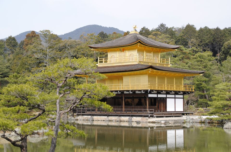 Kyoto: Personalized Guided Private Tour - Customer Feedback