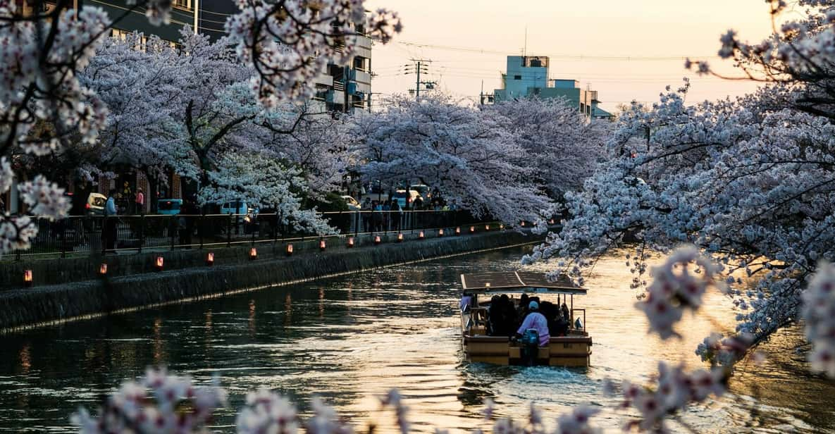 Kyoto: Private English Guided Customized Tour (Hotel Pickup) - Languages Offered