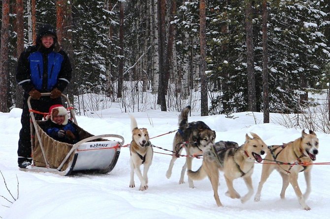 Lapland Husky Safari From Saariselkä - Host Responses to Reviews