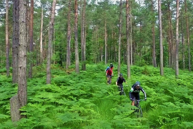 Ljubljana MTB Capital - Health and Accessibility