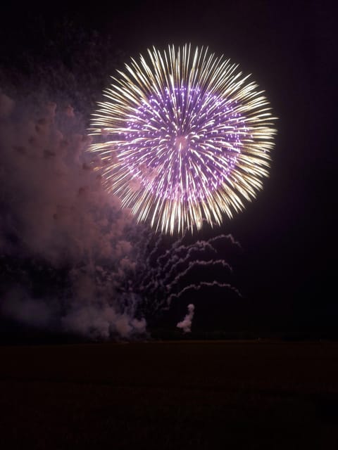 Local Fireworks Seat and Guide Review - Fireworks Festival Highlights