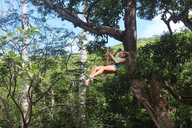 Loterie Farm: Fly Zone Treetop Zip-Line Adventure - Seasonal Operating Hours