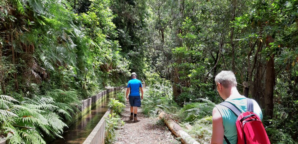 Madeira: Private Levada Fajaˆ Dos Rodrigues Walk - Fitness Level Requirements