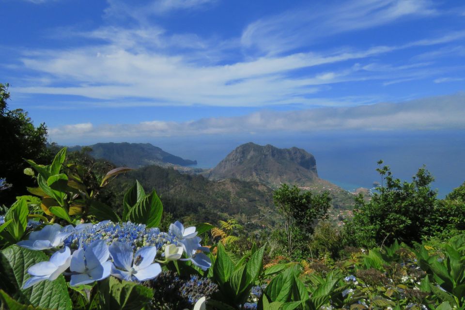 Madeira: Santo Da Serra Local Farmers Market Half Day Trip - Not Suitable For