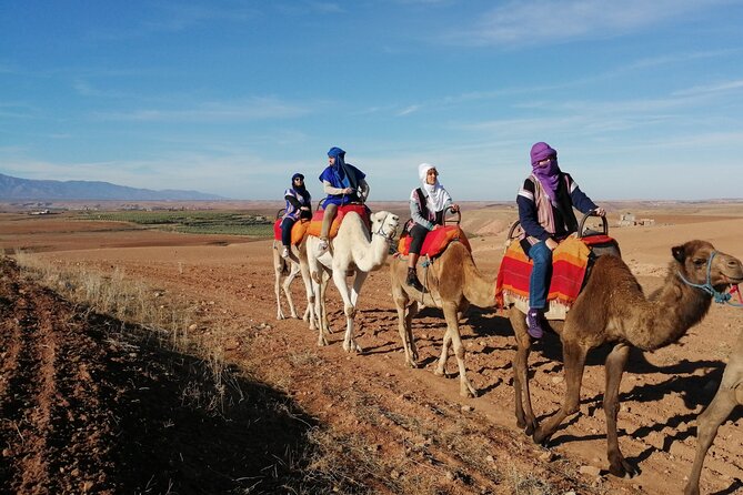 Magical Dinner Show and Camel Ride With Sunset in Agafay Desert - Dinner Menu and Options