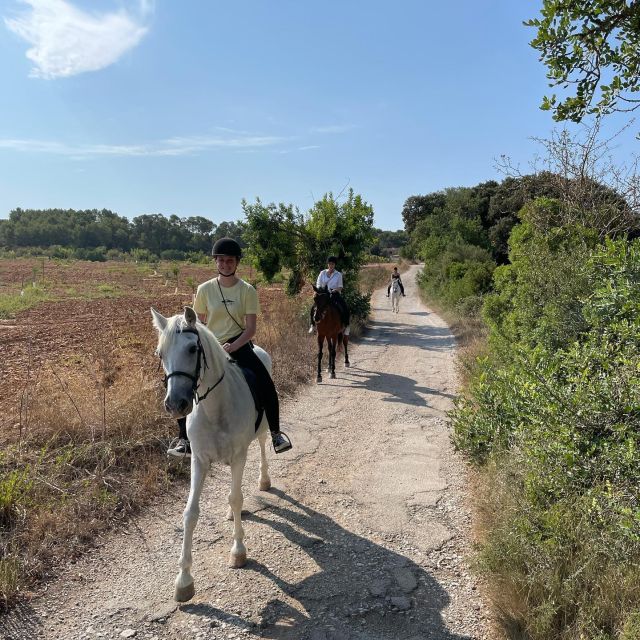 Mallorca: Guided Horseriding Tour of Randa Valley - Cancellation and Payment Policy