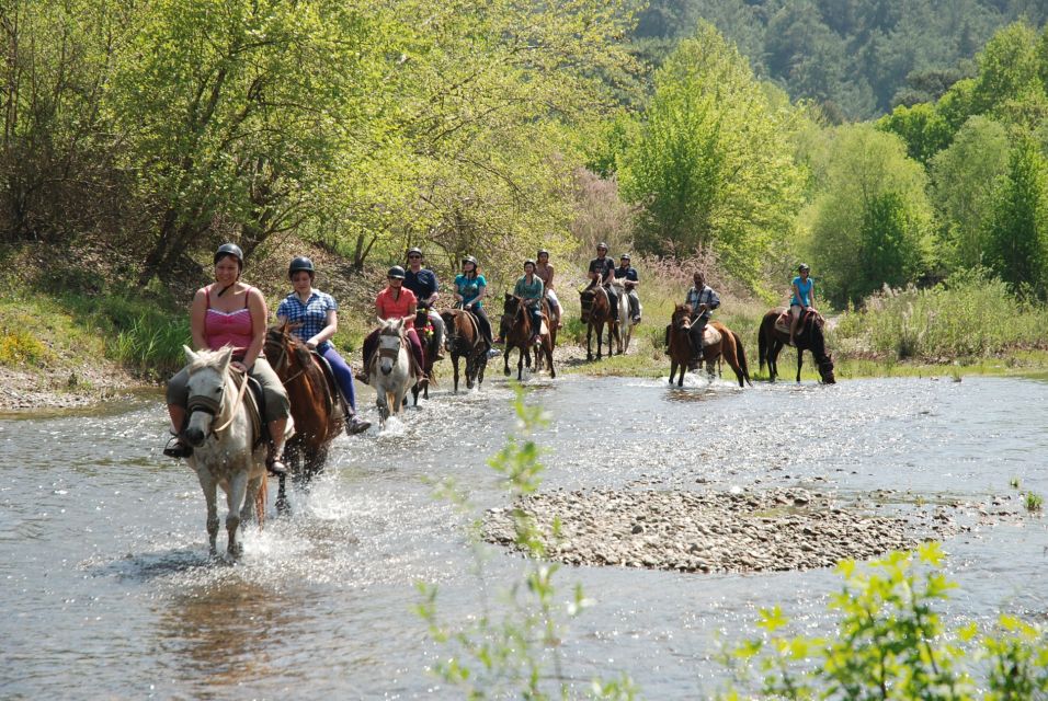 Marmaris National Park: Horse Safari - No Previous Experience Required