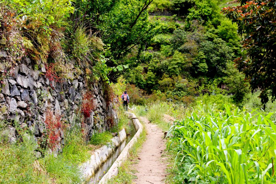 Marocós / Mimosa Valley - Levada Walk - Frequently Asked Questions