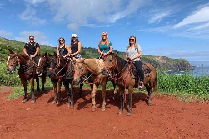 Maui Horseback-Riding Tour - Customer Ratings