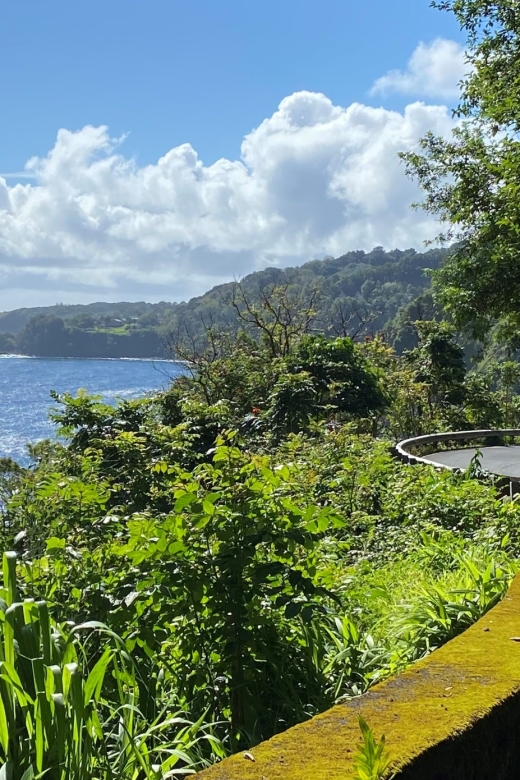 Maui: Road to Hana Private Adventure Tour With Luxury SUV - Itinerary Overview