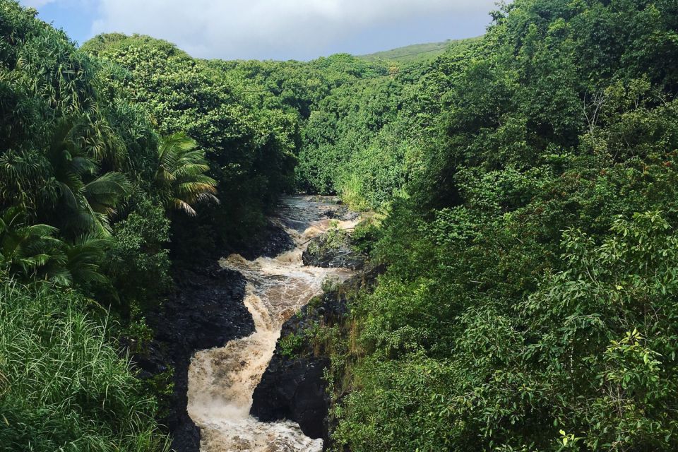 Maui Road to Hana Sightseeing Tour - Puaa Kaa State Park Trail