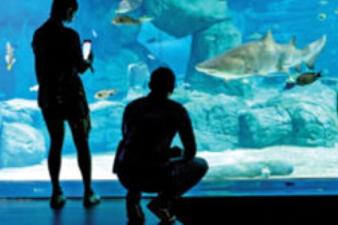 Mauritius Odysseo Oceanarium in Port Louis - Sustainability Initiatives