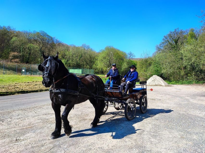 Mentheville: Horse-Drawn Carriage Ride in the Countryside - Safety and Briefing Procedures