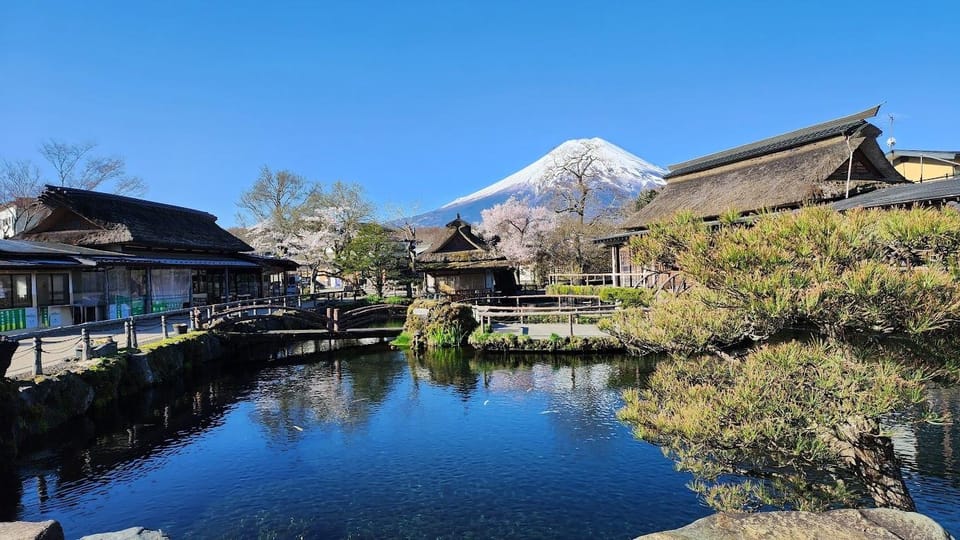 Mount Fuji and Hakone Day Tour With English Speaking Drivers - Participant Information and Restrictions