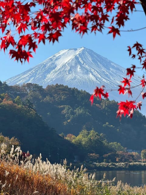 Mount Fuji Full Day Sightseeing Private Tour - Suitability Considerations