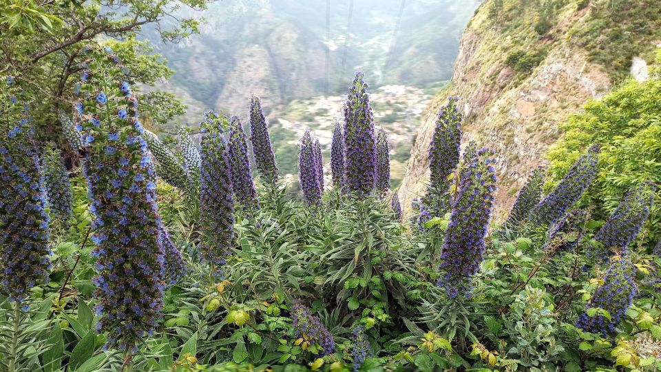 Mountain Wonders in 4h: Nuns Valley + Eira Do Serrado - Inclusions