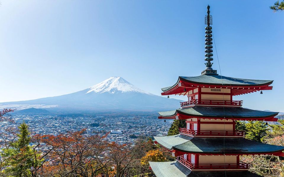 Mt Fuji : Highlight Tour and Unforgettable Experience - Driver Professionalism and Communication