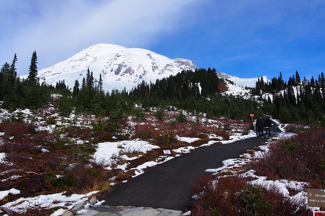 Mt. Rainier Day Tour From Seattle - Traveler Reviews and Feedback