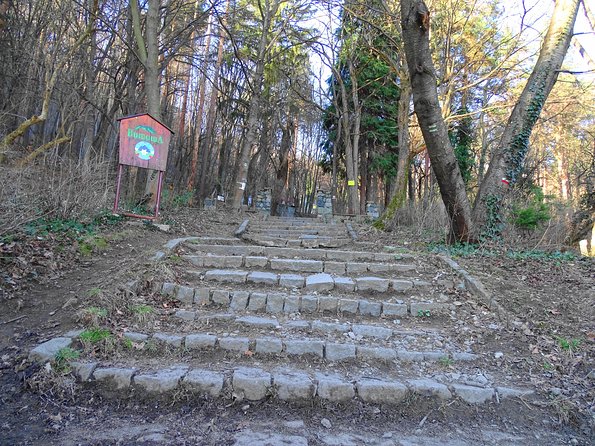 Mt. Vitosha and Boyana Waterfall Hiking Tour From Sofia - Accessibility and Limitations