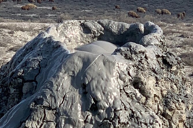 Mud Volcanoes & Gobustan Private Tour - Customer Reviews