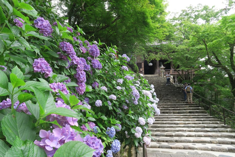 Nara Day Tour From Osaka - Destination Highlights