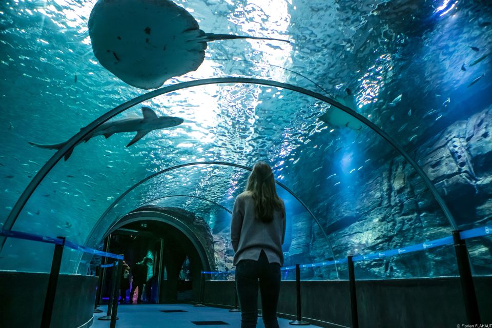 Nausicaa National Sea Center: Full-Day Entry Ticket - Enjoy Onsite Dining Options