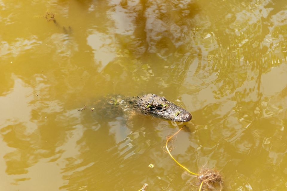 New Orleans: Bayou Tour in Jean Lafitte National Park - Meeting Point