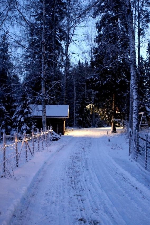 Nice: Christmas Market Walking Tour - Indulging in Local Delicacies