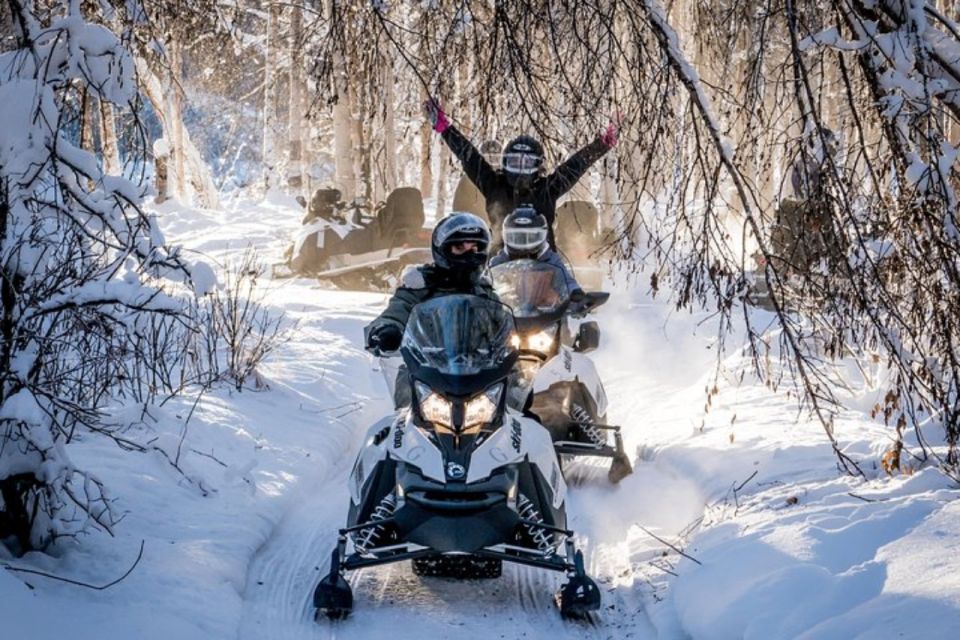 North Pole Alaska: Guided Fairbanks Snowmobile Tour - Enjoying the Snowmobile Adventure