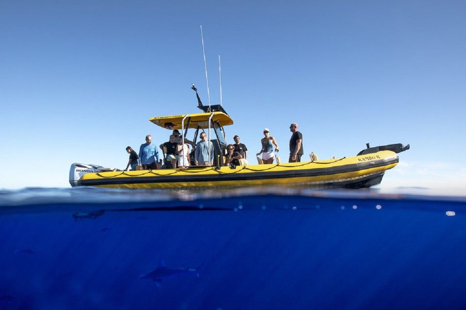 Oahu: North Shore Hale'iwa: Private Boat Charter - Additional Information