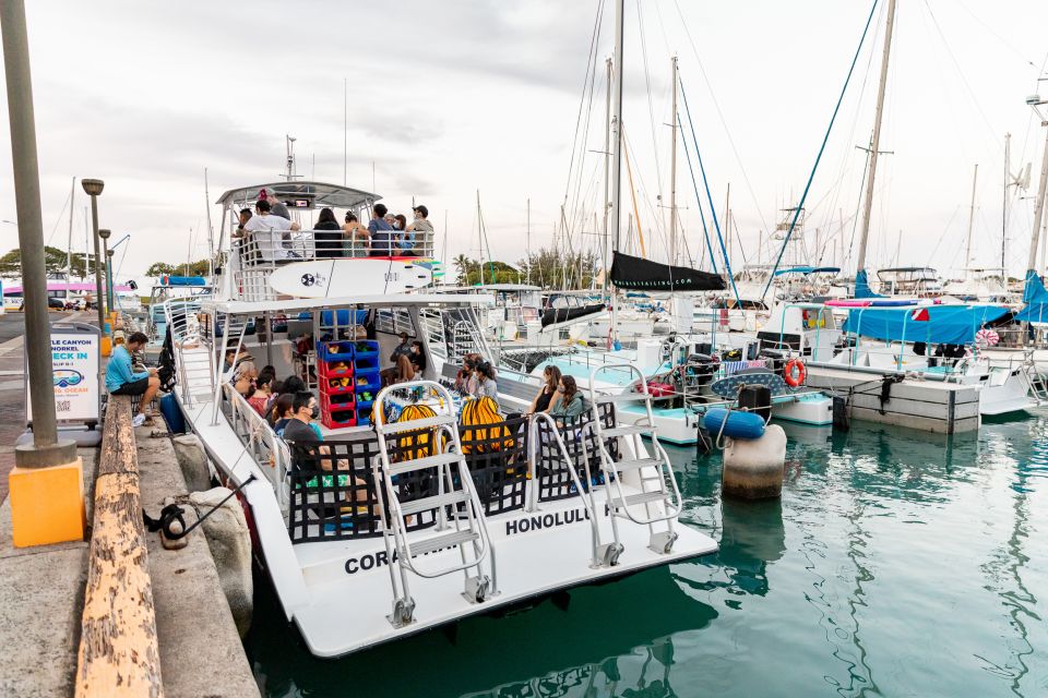 Oahu: Waikiki Turtle Canyons Cruise and Snorkel Excursion - Snorkeling Experience