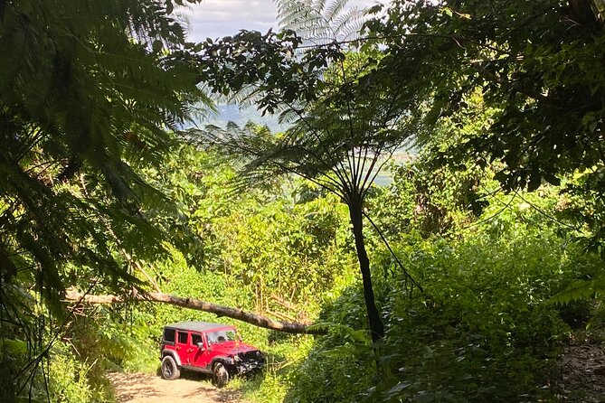 Off-Road Jeep Adventure From Carolina, Puerto Rico - Convenient Pickup Locations