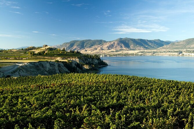 Okanagan Falls Wine Experience From Vernon - 4 Wineries - Confirmation and Accessibility