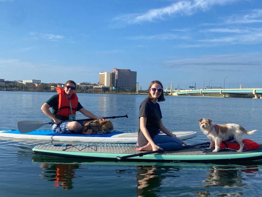 Orlando: Paddle With Pups in Paradise - Paddleboard or Kayak - Dog-Friendly Dining Along the Shoreline