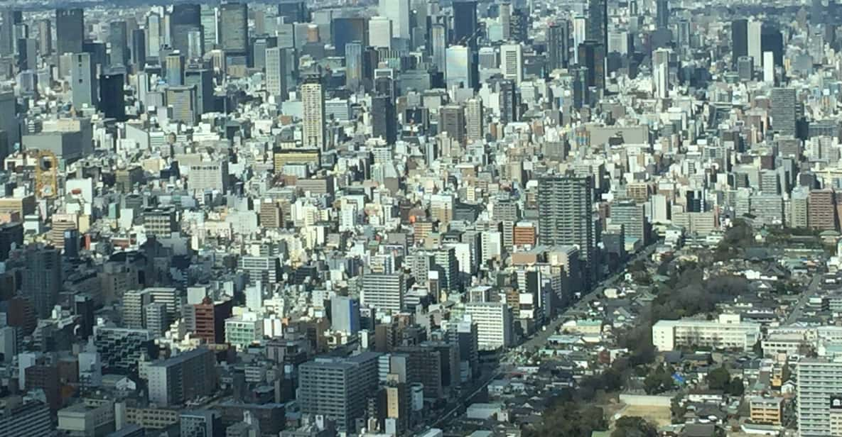 Osaka: Private Guided Tour of the Modern City - Osakas Major Transit Hub