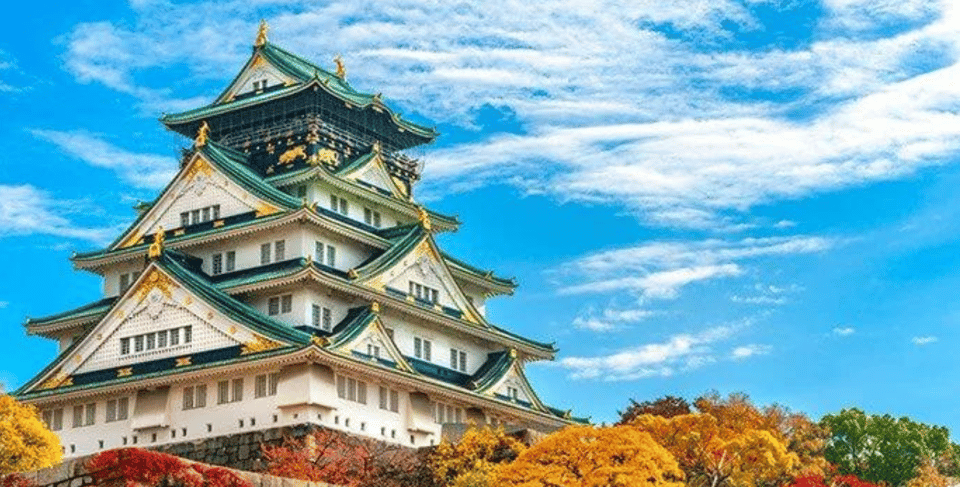 Osaka: Private Highlights Tour, 100% Totally Personalized - Transportation and Accessibility