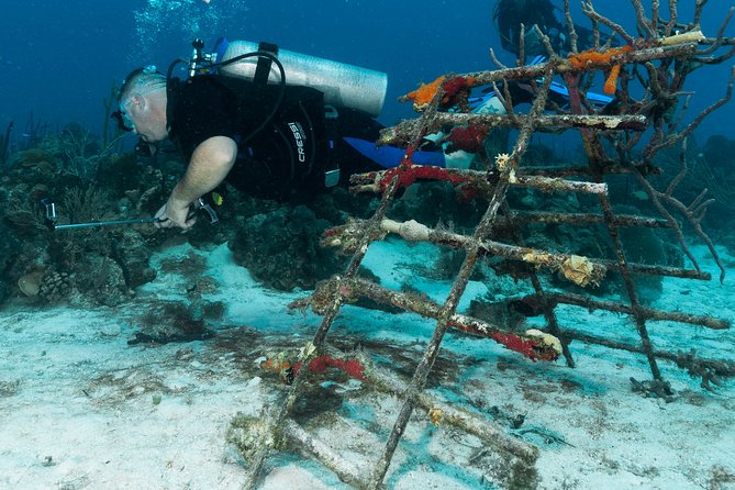 PADI Discover Scuba Diving Course in Bayahibe - Ocean Dive Exploration