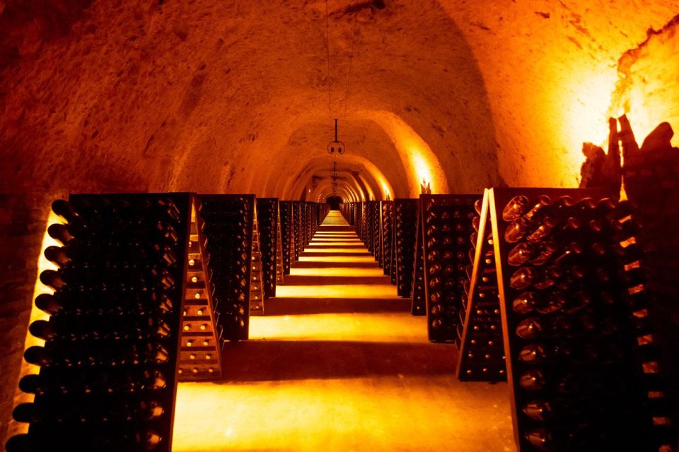 Paris: Discover the Cellars in the Countryside in Champagne - Touring Mercier Champagne House